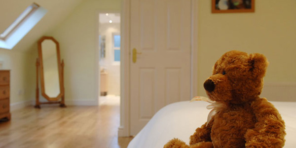 Teddy bear in loft conversion