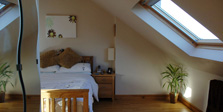 Teddy bear in loft conversion